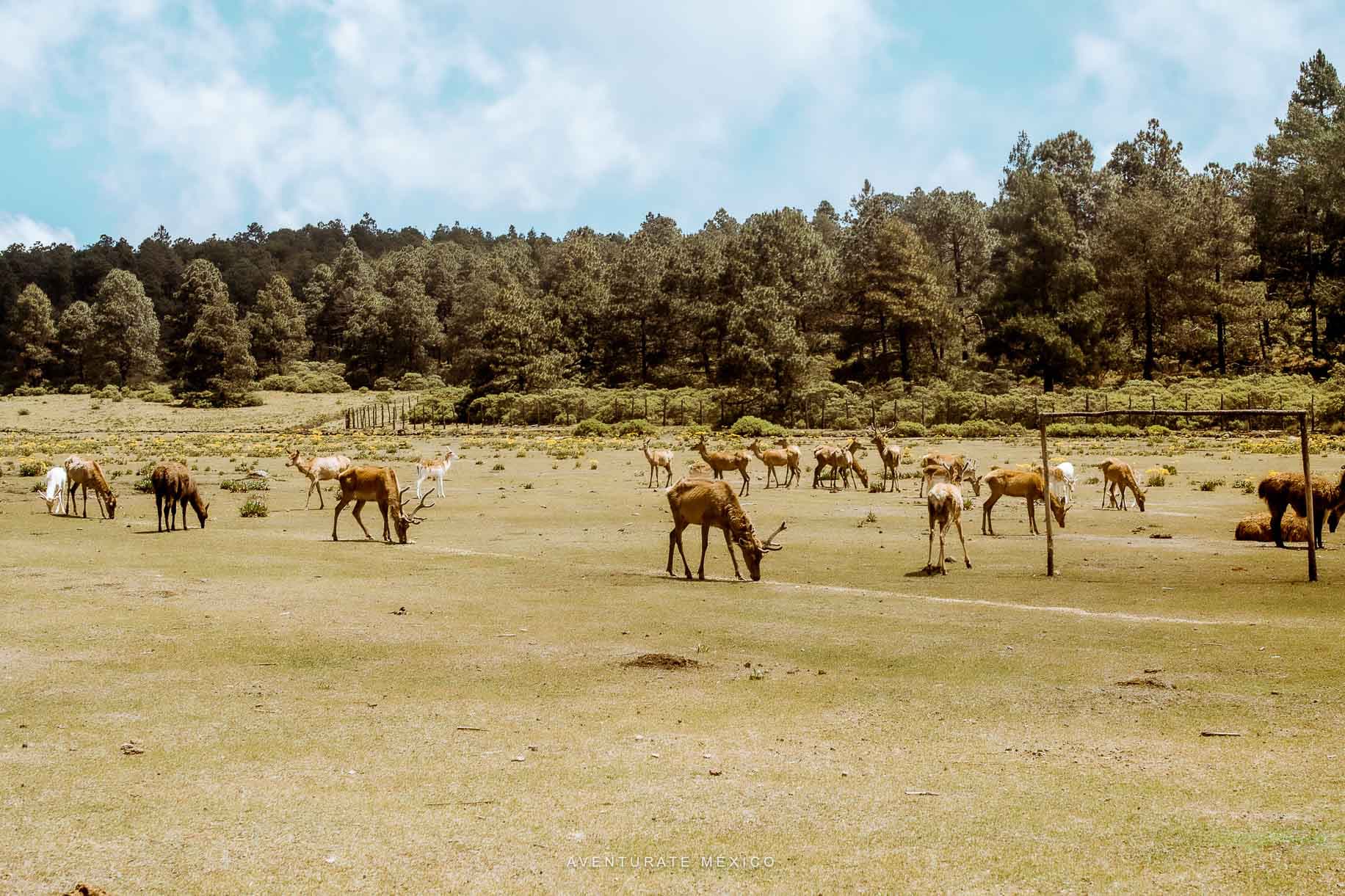 Valle Alegre reserva ecológica